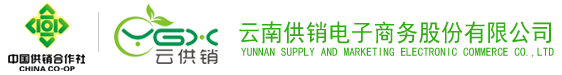 XPJ(中国区)官方网站电子商务股份有限公司
